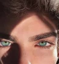 mirco thumbnail