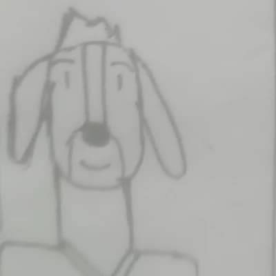 Bodi thumbnail