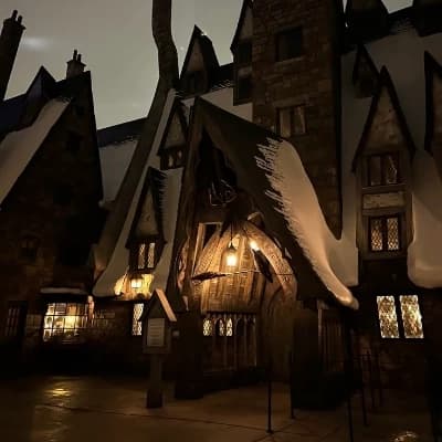 Rein family and Hogwarts  thumbnail