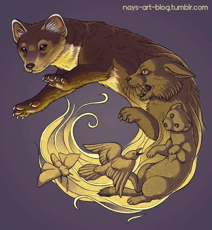 "Golden Compass" thumbnail