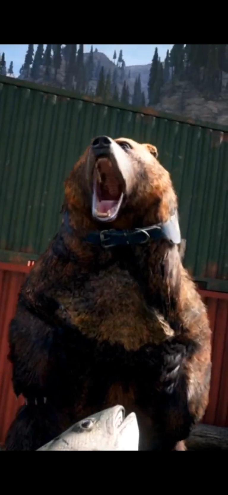 Urso X Burger thumbnail
