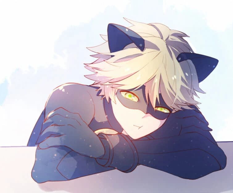 Cat noir/ Adrian  thumbnail