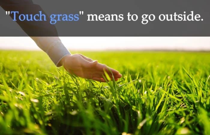 Grass thumbnail