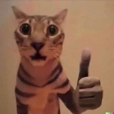 a cat? thumbnail