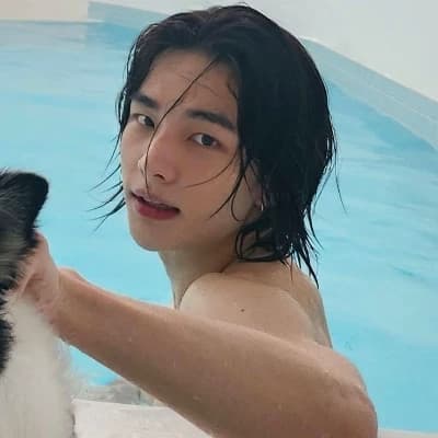 Hyunjin thumbnail