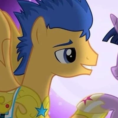 Flash Sentry thumbnail