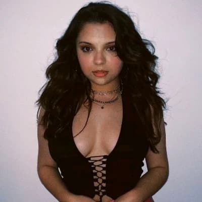 Cree cicchino thumbnail
