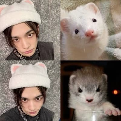 Hwang Hyunjin thumbnail