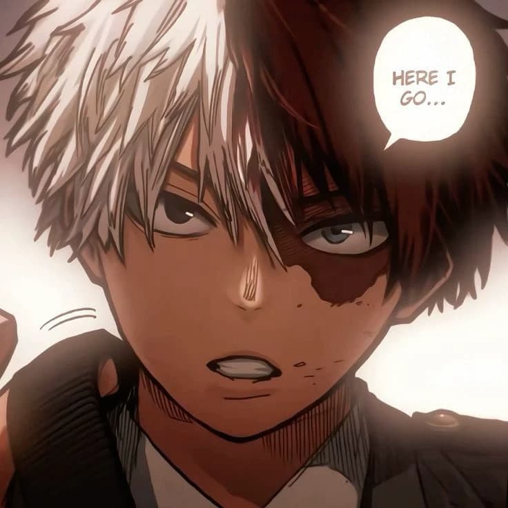 Shoto todoroki thumbnail