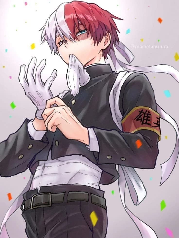 Todoroki thumbnail