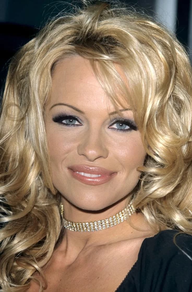 Pamela Anderson thumbnail