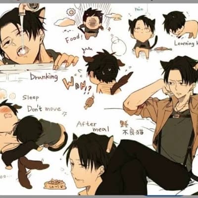Levi Ackerman thumbnail
