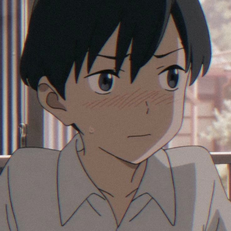 Kento Hinode  thumbnail