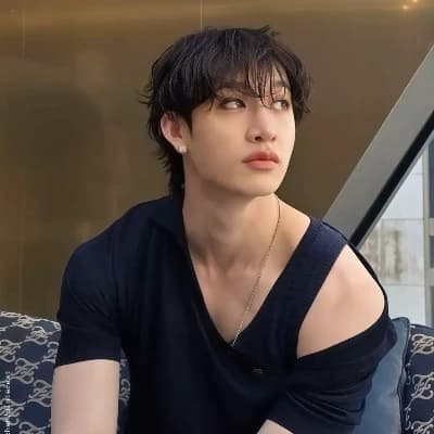 Bangchan wolf thumbnail