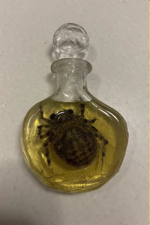 Spinneret potion  thumbnail