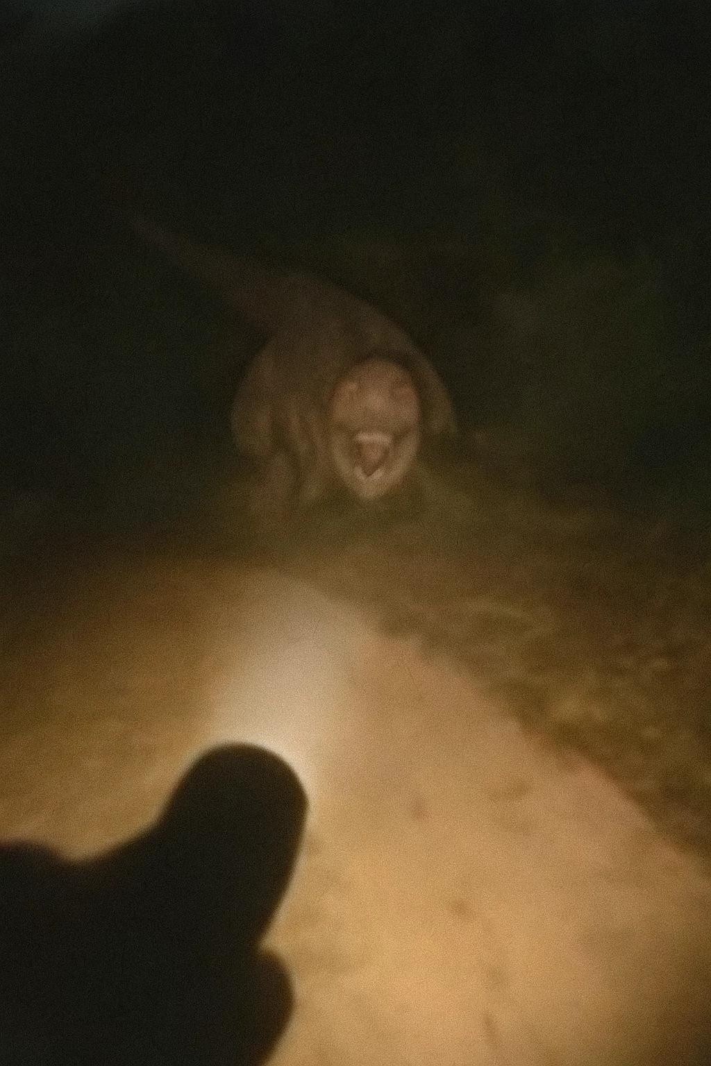 caught on an island thumbnail