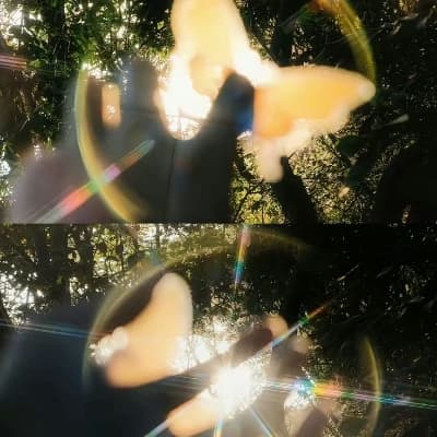 Zhang xiǎoyīn thumbnail