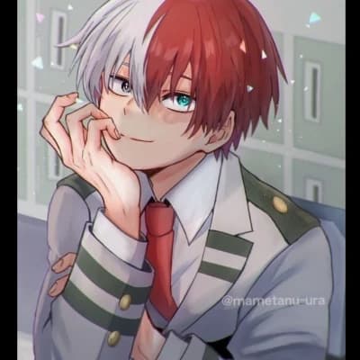 Shoto Todoroki thumbnail