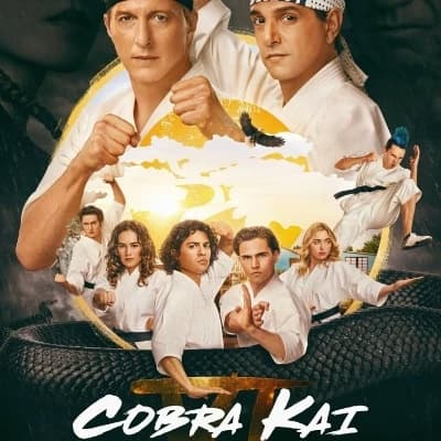 Cobra Kai y Miyagi-Do. thumbnail