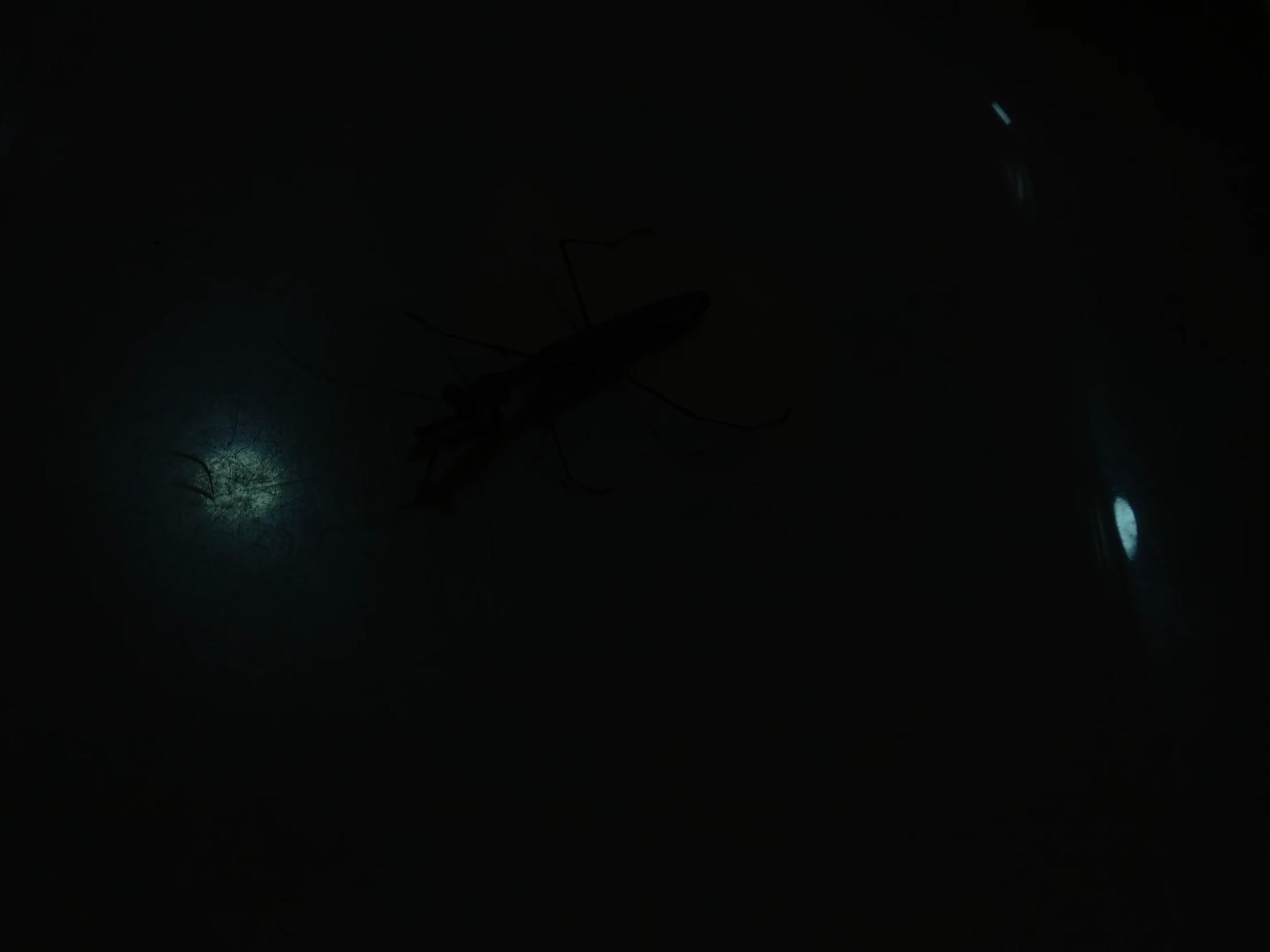 Demon World /Update 2.1!/ thumbnail