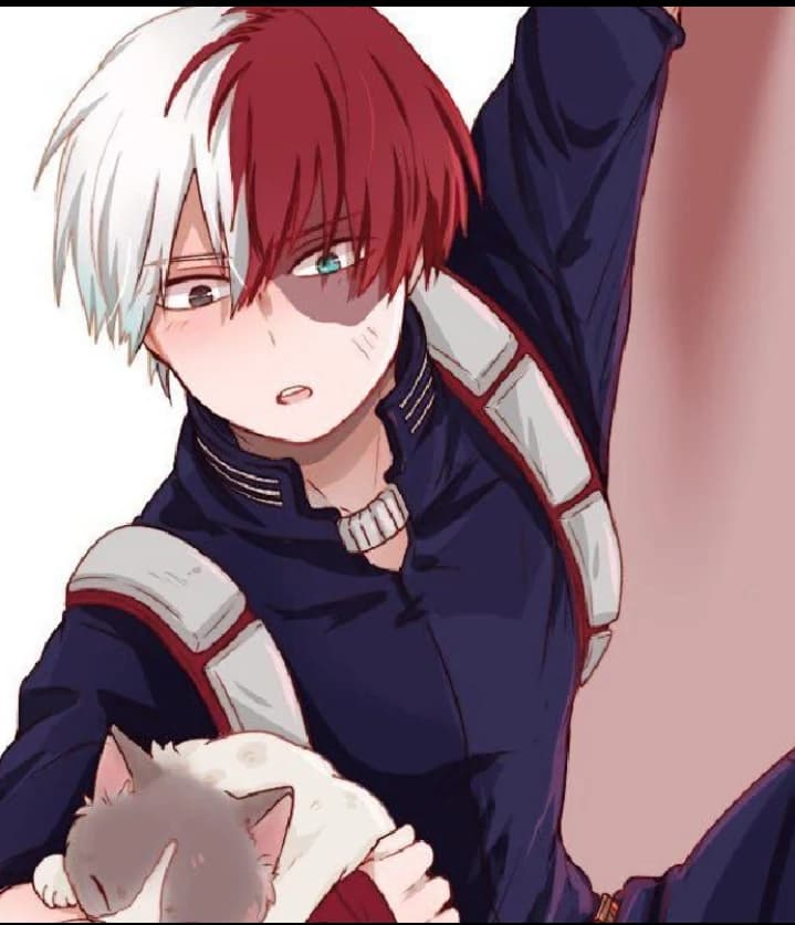 Shoto Todoroki  thumbnail