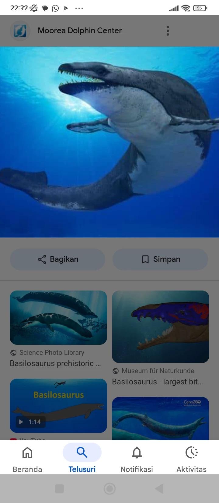 Basilosaurus thumbnail