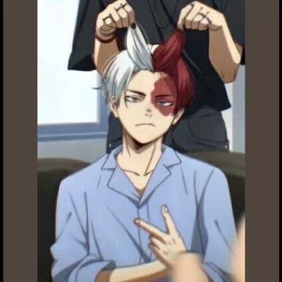 Shoto Todoroki thumbnail