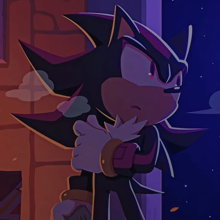 〔 { Shadow The Hedgehog } 〕 thumbnail