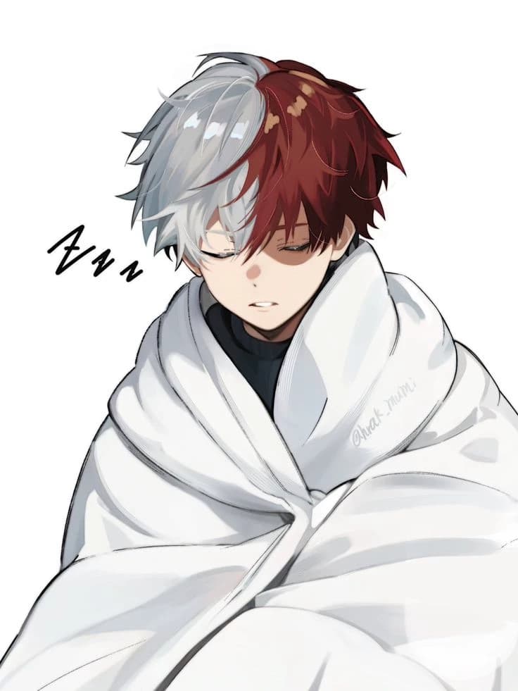 Shoto Todoroki  thumbnail