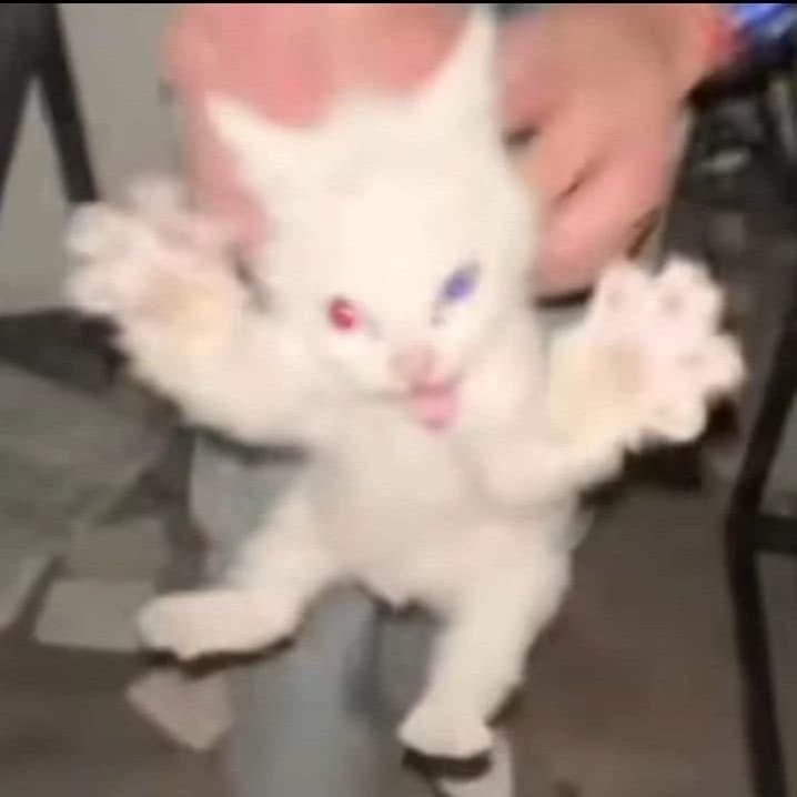 Yuki thumbnail