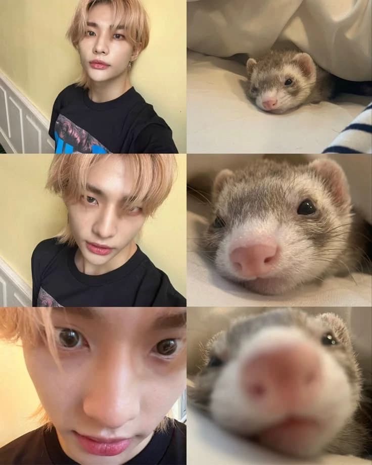 Hynjin thumbnail