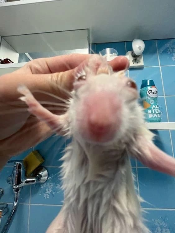 helpful thumbnail