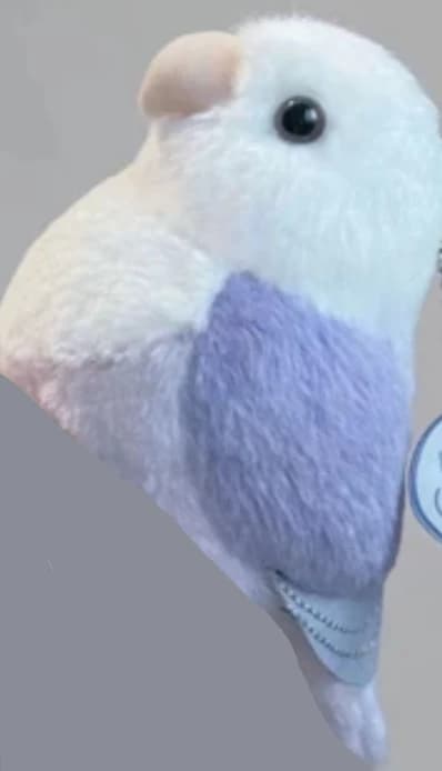 Passarito Bot thumbnail
