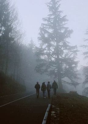 Friends in an Apocalypse || thumbnail
