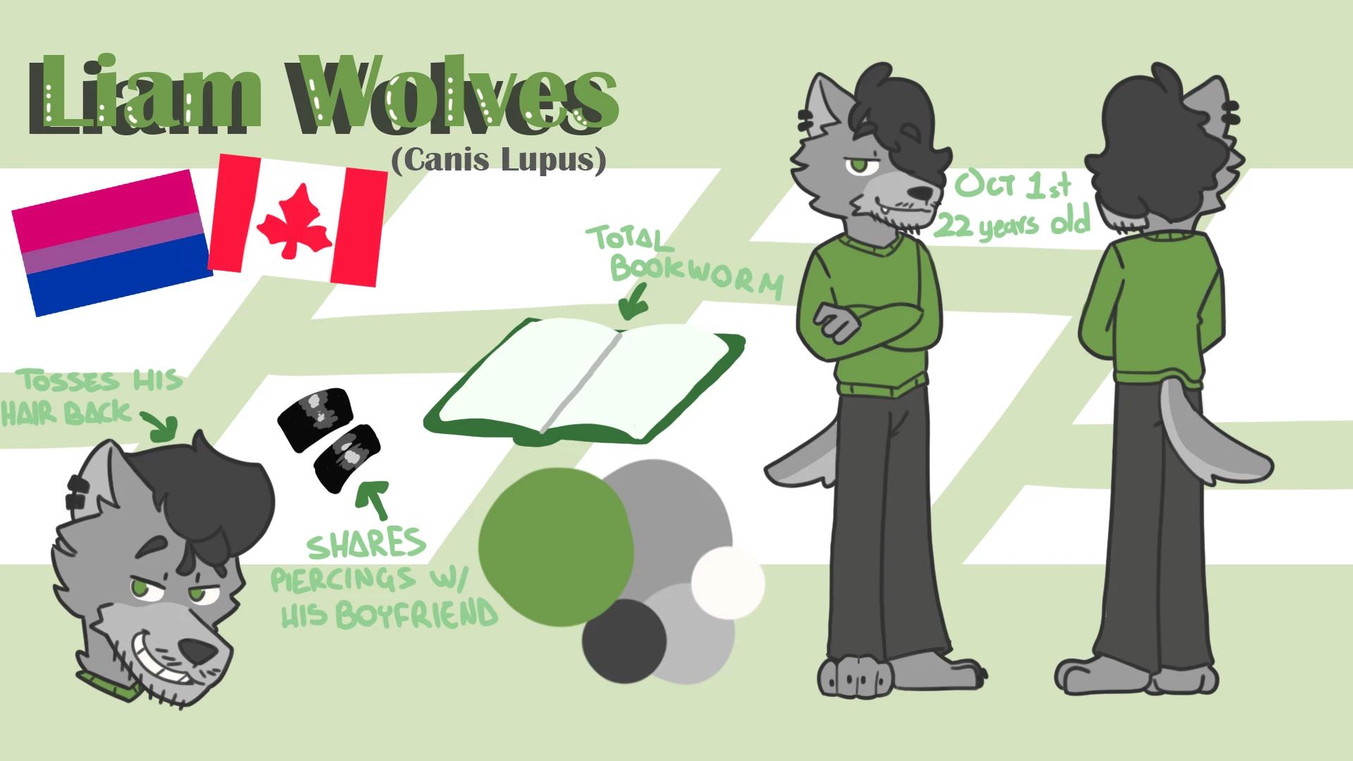 Liam Wolves thumbnail