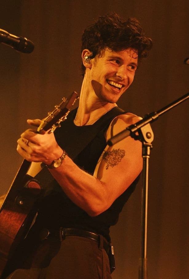 Shawn mendes  thumbnail