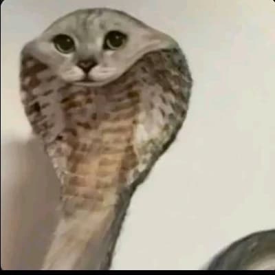 Snake cat thumbnail
