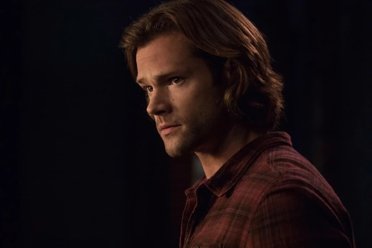 Sam Winchester (after Dean's death) thumbnail