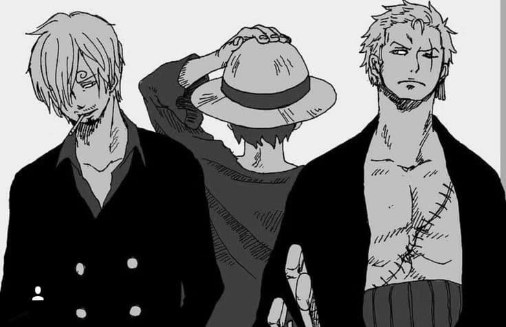 Sanji Zoro e Luffy thumbnail