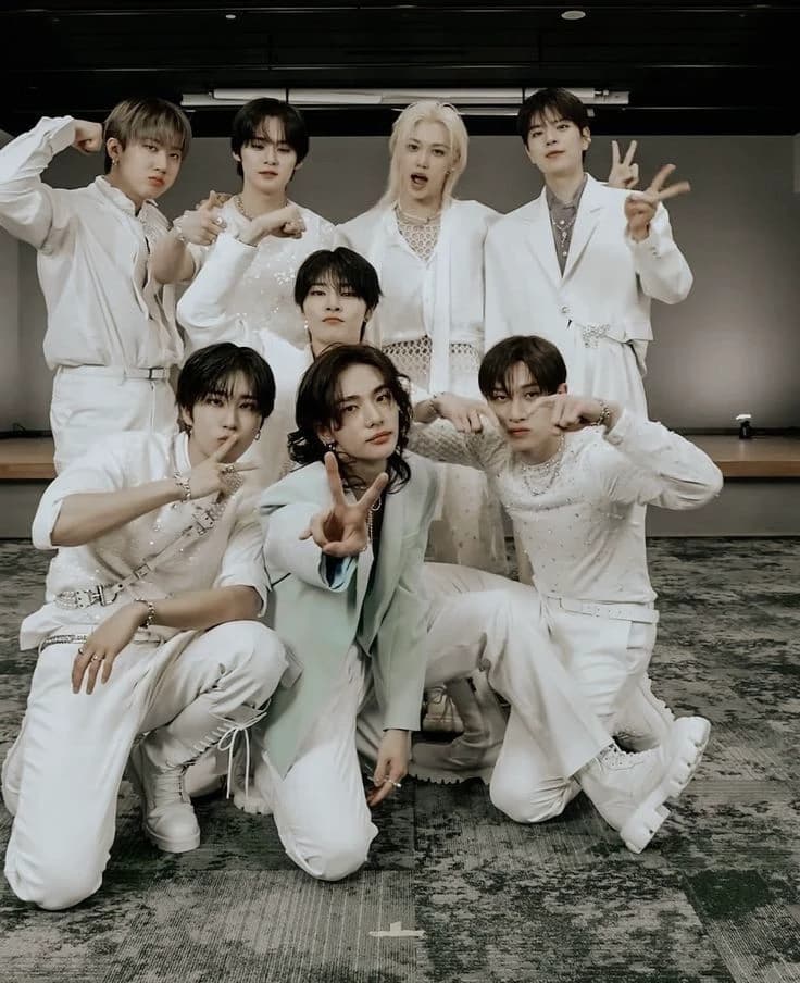 Stray kids - Stepbrothers thumbnail