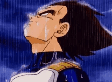Vegeta- disappointed thumbnail