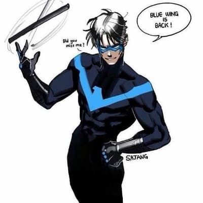 Nightwing (Richard Grayson) thumbnail