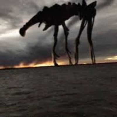 Wandering death thumbnail