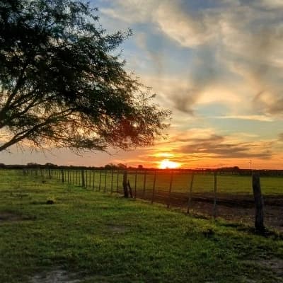 🌸 *"Santa Isabel Farm"* 🌸 thumbnail