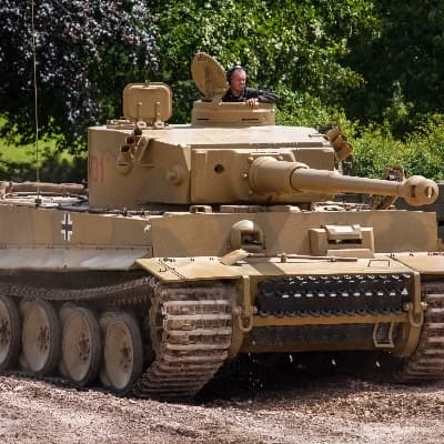 Tiger thumbnail