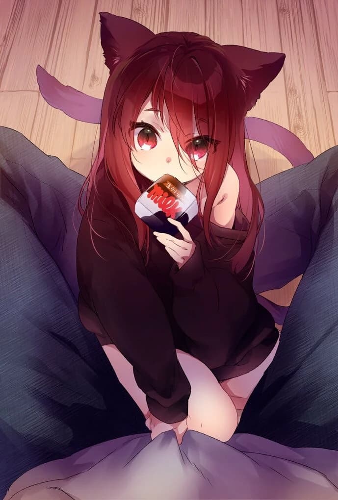 Kari | Your kitten thumbnail