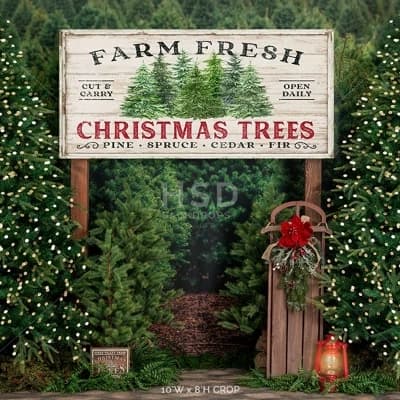 Snowy Pines Christmas Tree Farm thumbnail