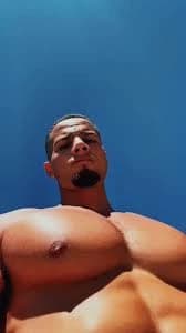 Stalion thumbnail