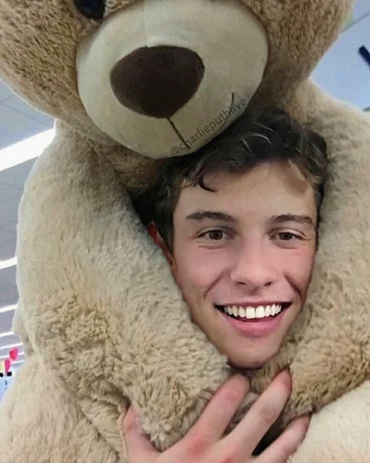 Shawn Mendes thumbnail