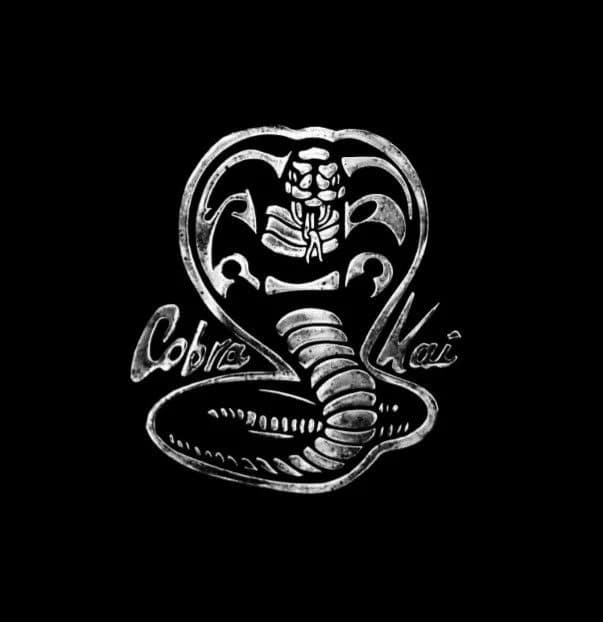 Cobra Kai thumbnail